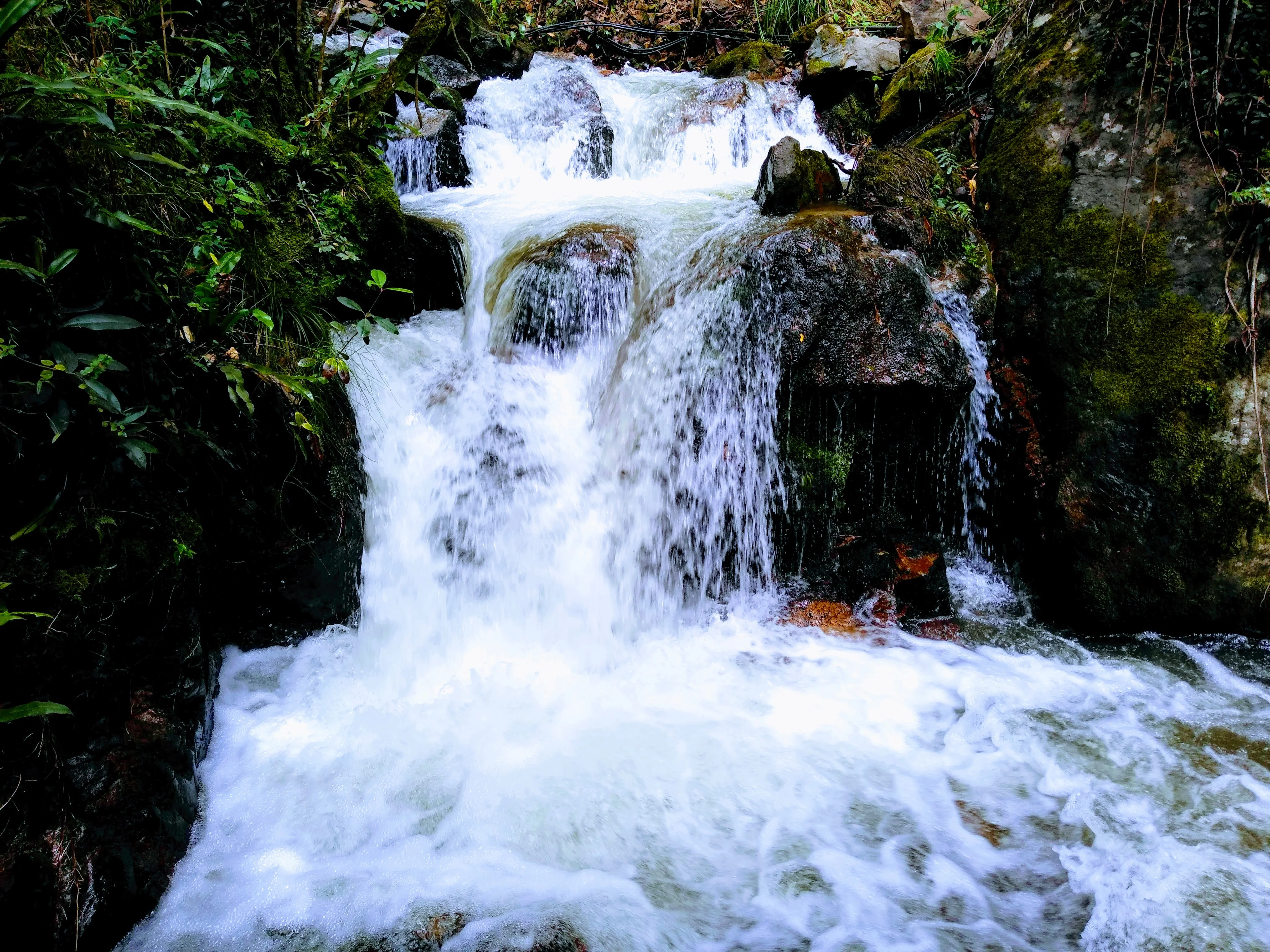 Sendero de la Jabonera 3