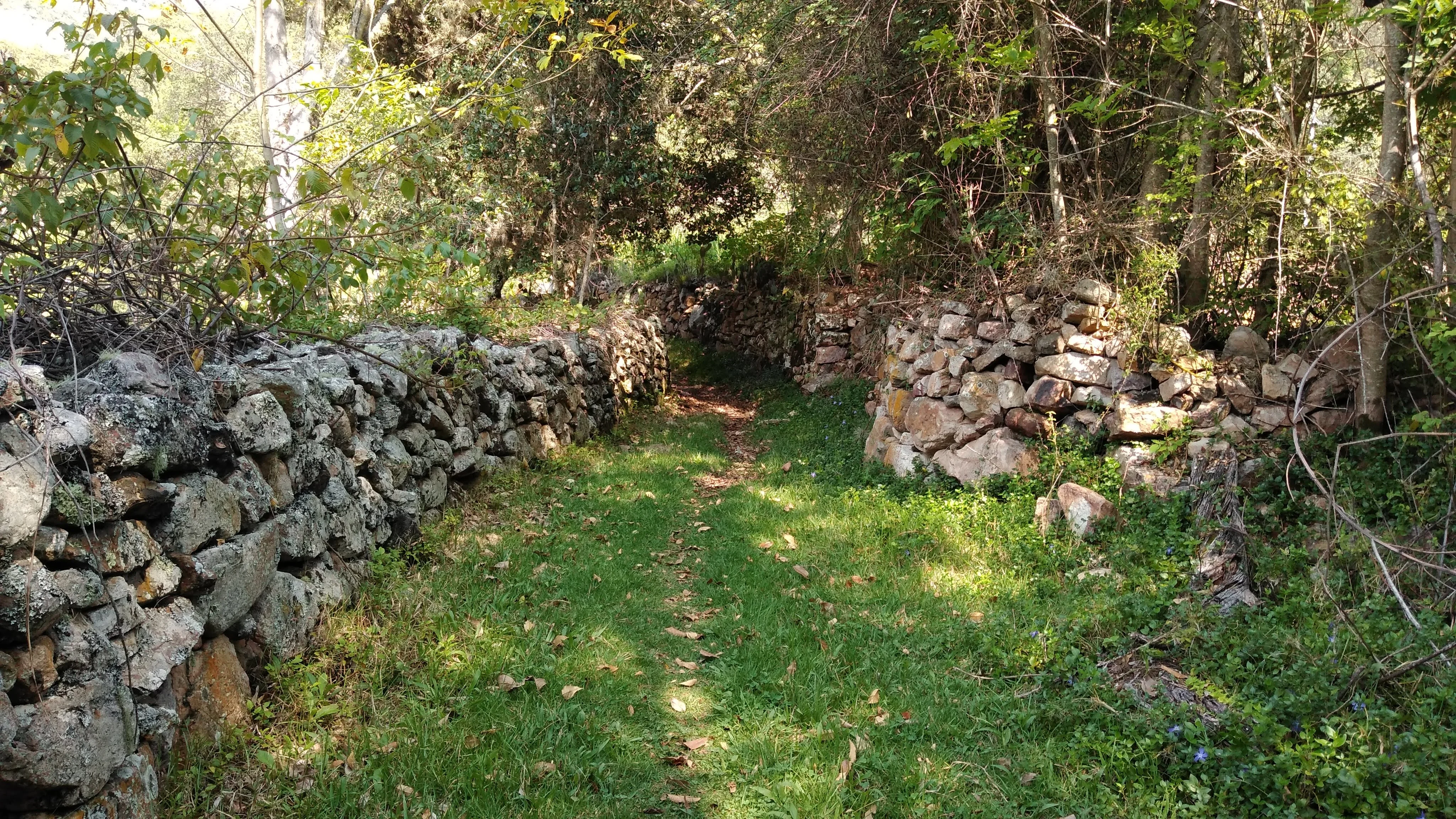 Sendero de la Jabonera 3